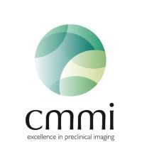 cmmi